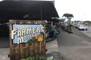 【ハワイ島ヒロ】鮮やかな生花やお土産に良さそうな雑貨類、美味しそうなお惣菜まで、見ているだけでも楽しいヒロのファーマーズマーケット。ヒロに滞在すれば朝市も行きやすいですよ！