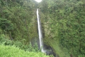 【アカカフォール】ハワイアンソングによく登場するアカカ滝は約135ｍの落差を誇る滝。周りには熱帯植物が広がります。