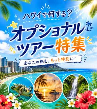 ハワイオプショナルツアー